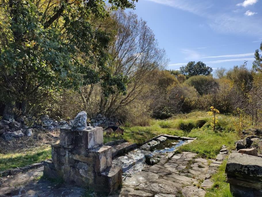 Casa Rural Tozolosolobos Otero de Bodas Bagian luar foto